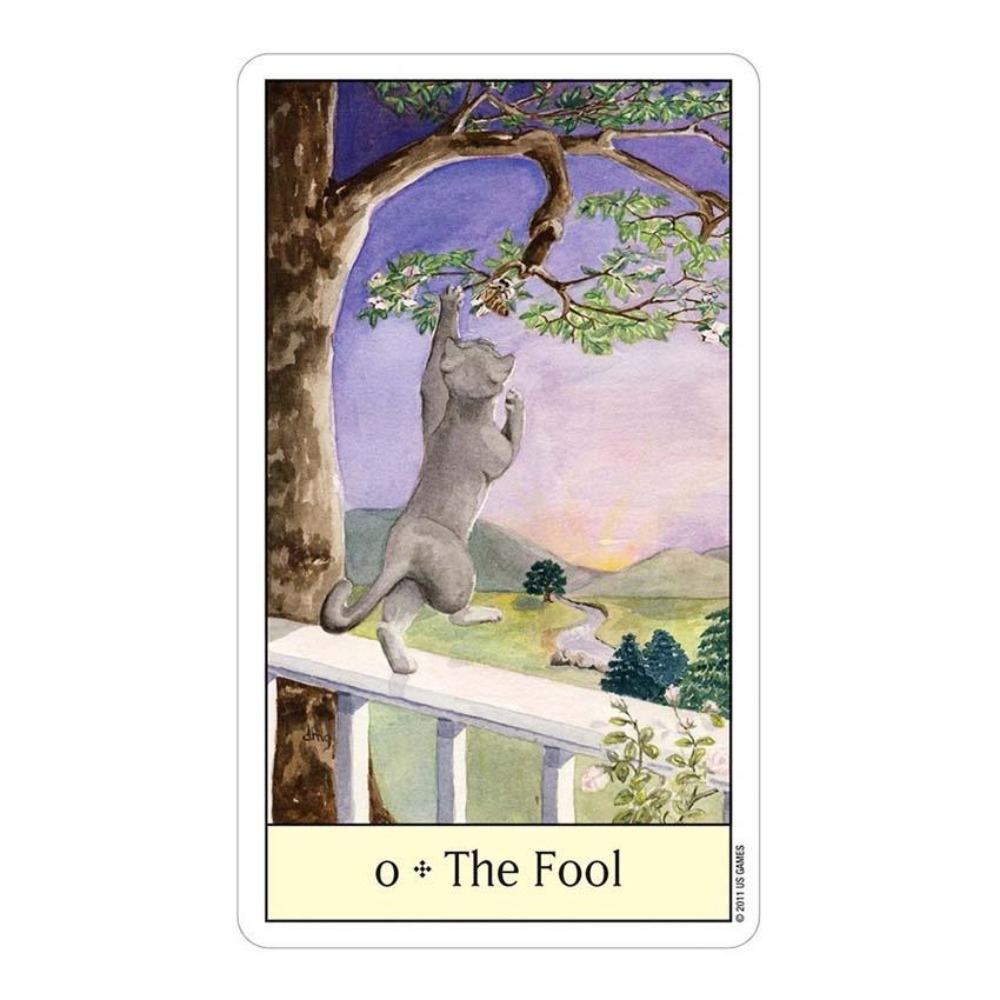 ألعاب بطاقات التاروت لعيون الق - مراجعة Tarot Deck With Guidebook وسعره